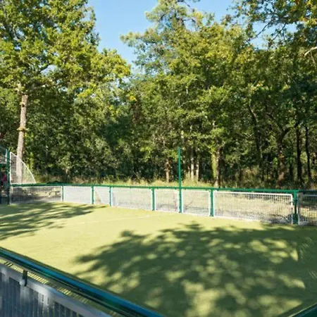 Mobil-home Confortable Avec Terrasse A - Api-1-52-230