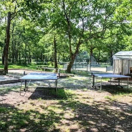 Campingplads Mobil-home Confortable Avec Terrasse A - Api-1-52-230 Royan