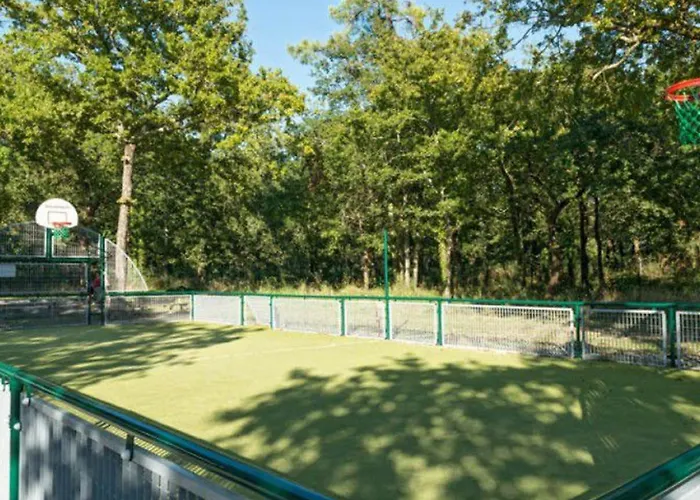 Mobil-home Confortable Avec Terrasse A - Api-1-52-230